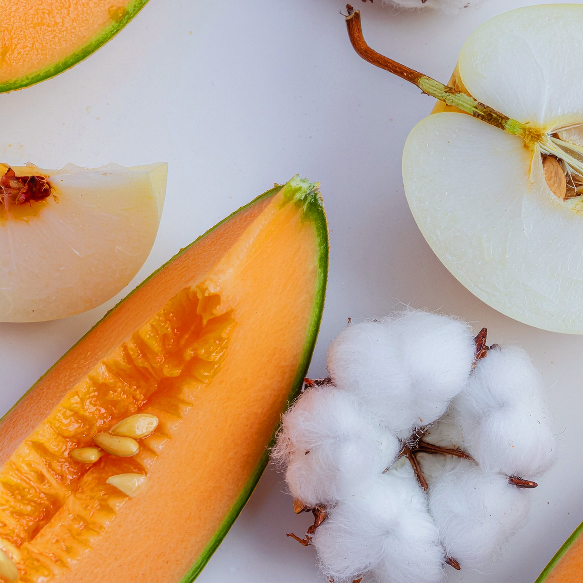 Brume Melon Sorbet